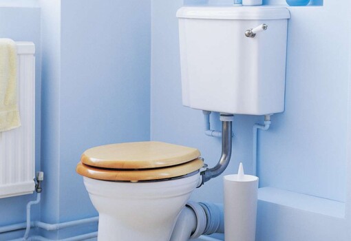 Welttoilettentag