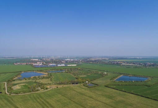 Weltwassertag - Bild vom Biotop Schladitz