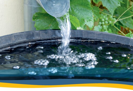 Neue Niederschlagswasserbroschüre 2023