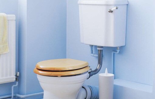 Welttoilettentag