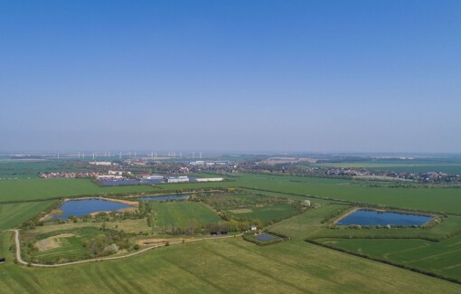 Weltwassertag - Bild vom Biotop Schladitz